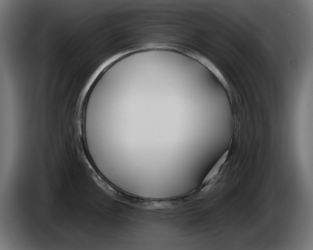 X0000083011148200703021934