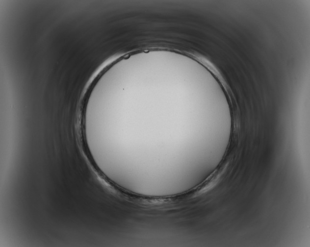 X0000083011149200703021934