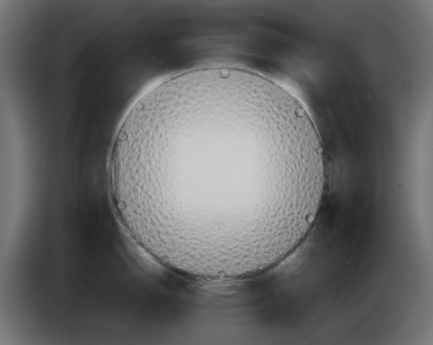 X0000083011150200703021934