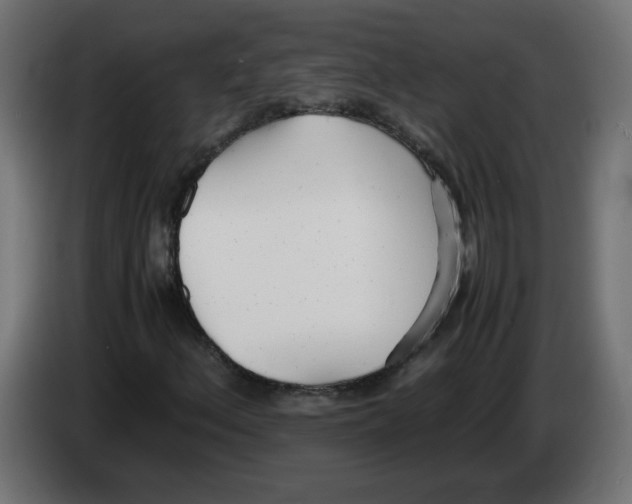 X0000083011156200703021933