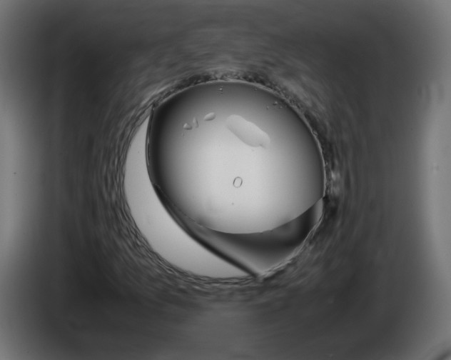 X0000083011157200703021933