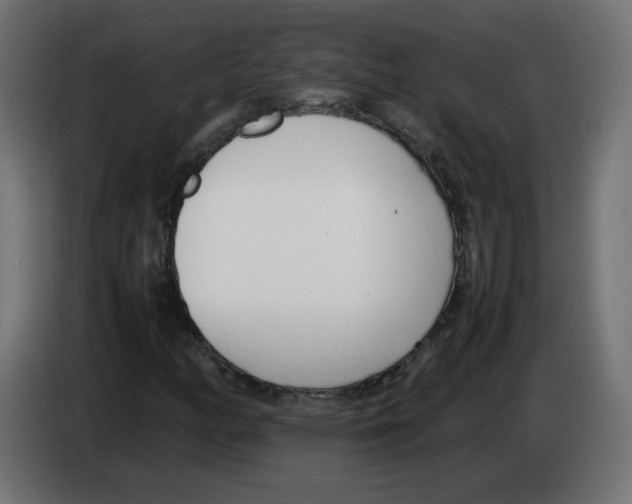 X0000083011158200703021933