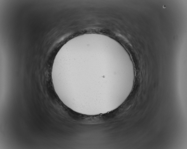 X0000083011159200703021933