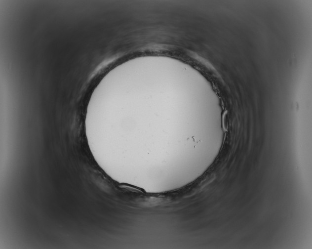 X0000083011160200703021933