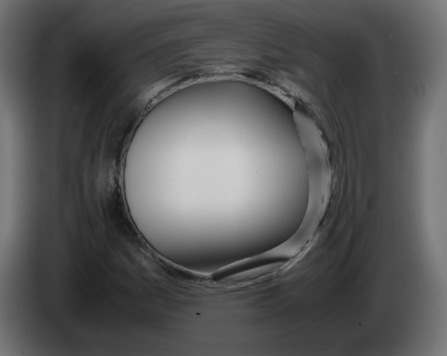 X0000083011161200703021933