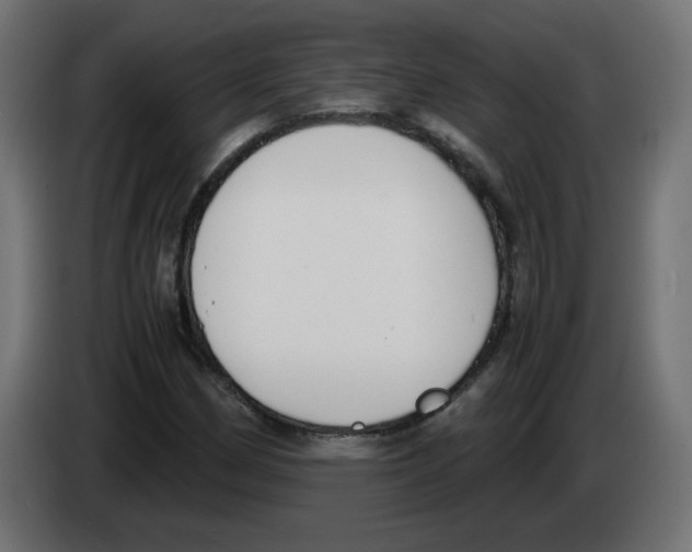 X0000083011162200703021933