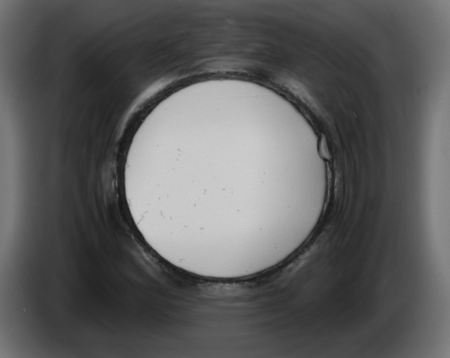 X0000083011164200703021933