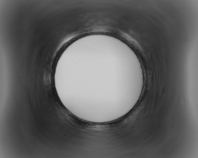 X0000083011166200703021933