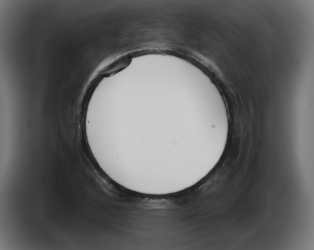 X0000083011168200703021933