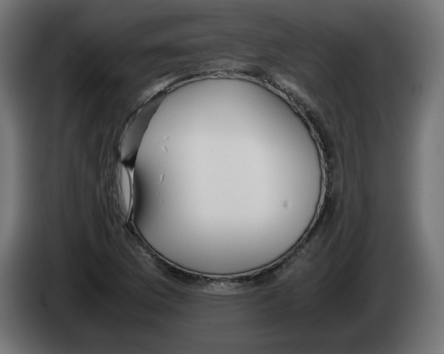 X0000083011169200703021933