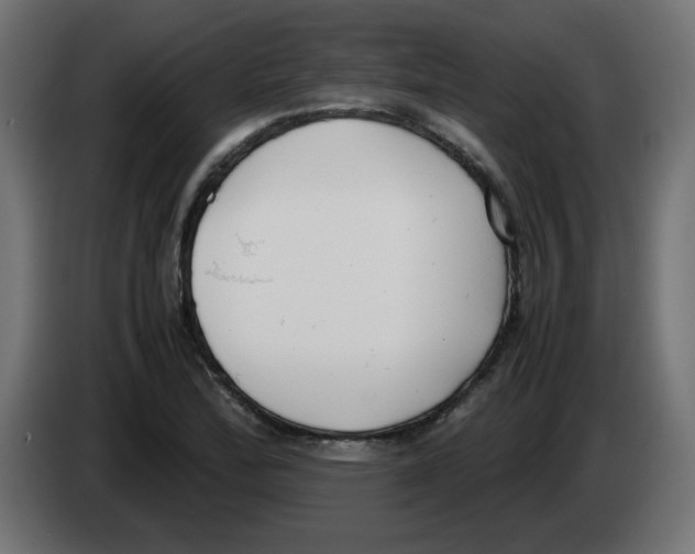 X0000083011172200703021933