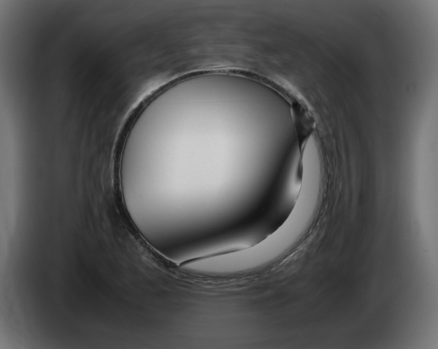 X0000083011173200703021933