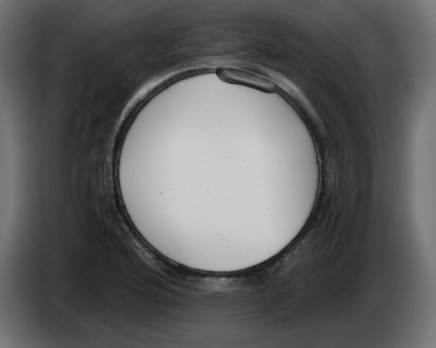 X0000083011176200703021933