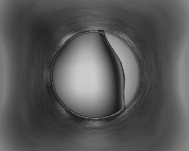 X0000083011177200703021933