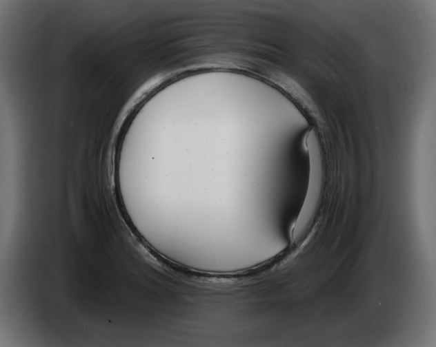 X0000083011180200703021933