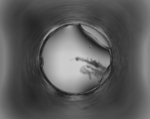 X0000083011181200703021933