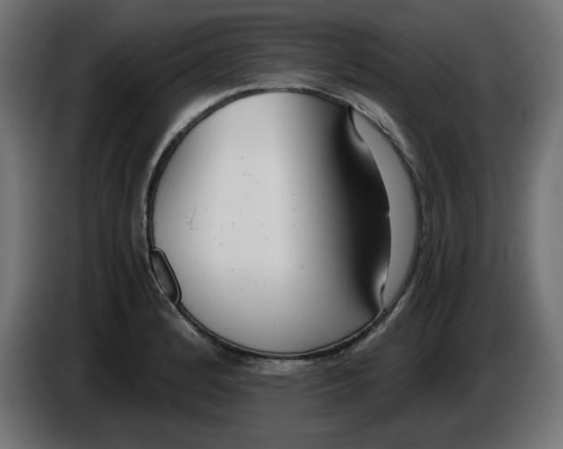 X0000083011184200703021933