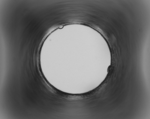 X0000083011187200703021933