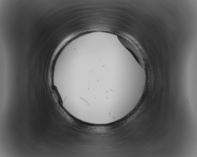 X0000083011188200703021933