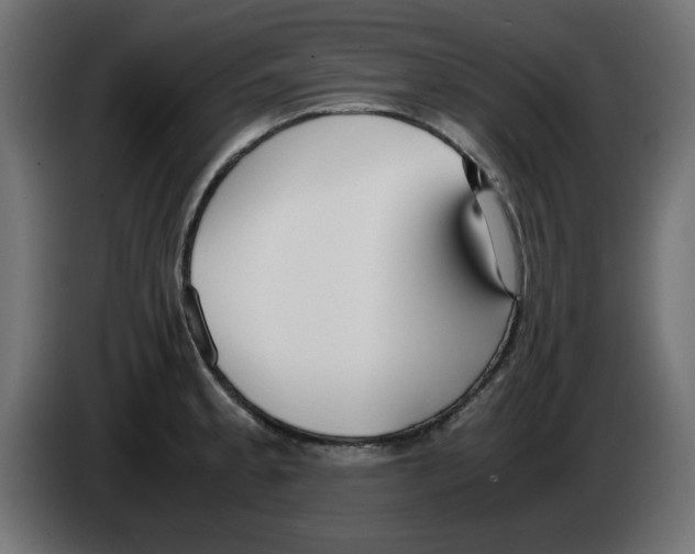 X0000083011189200703021933