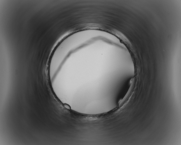 X0000083011190200703021933