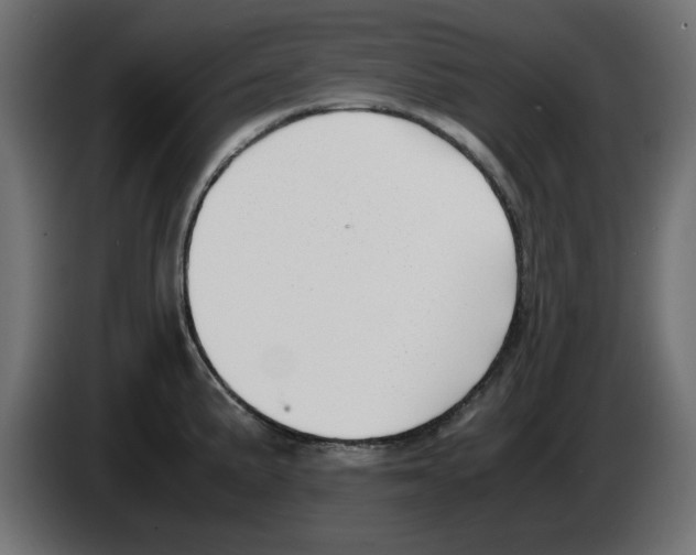 X0000083011191200703021933