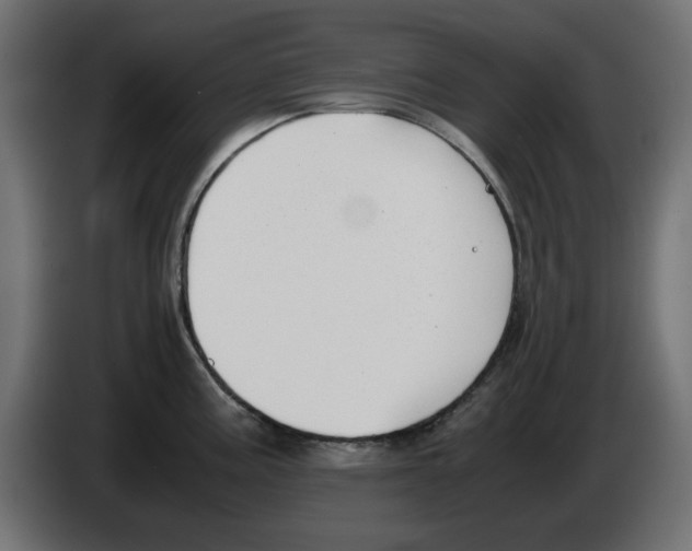 X0000083011195200703021933