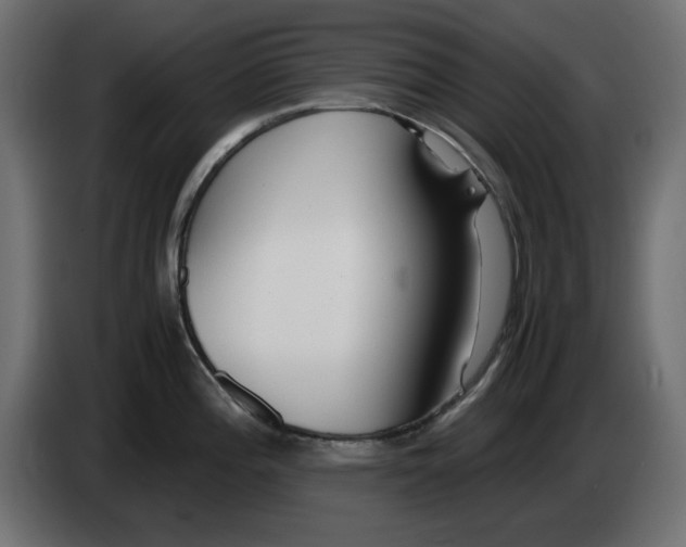 X0000083011196200703021933