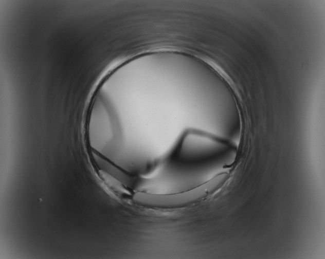 X0000083011197200703021933