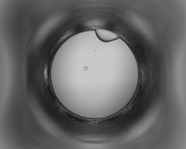 X0000083011198200703021933