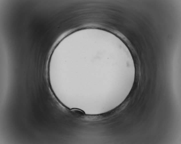 X0000083011199200703021933