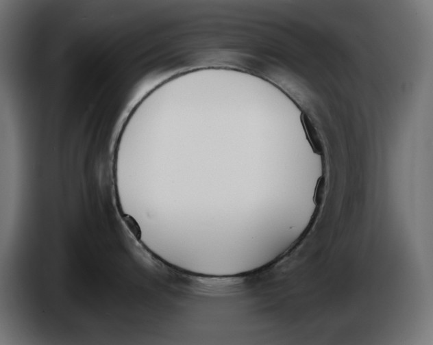 X0000083011200200703021933