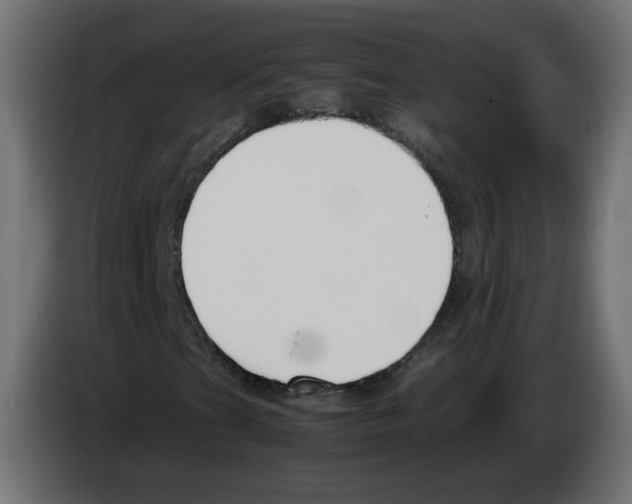 X0000083011201200703021932