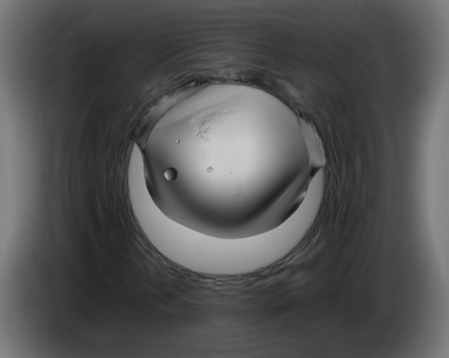 X0000083011202200703021932