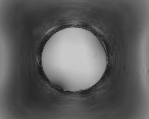 X0000083011206200703021932