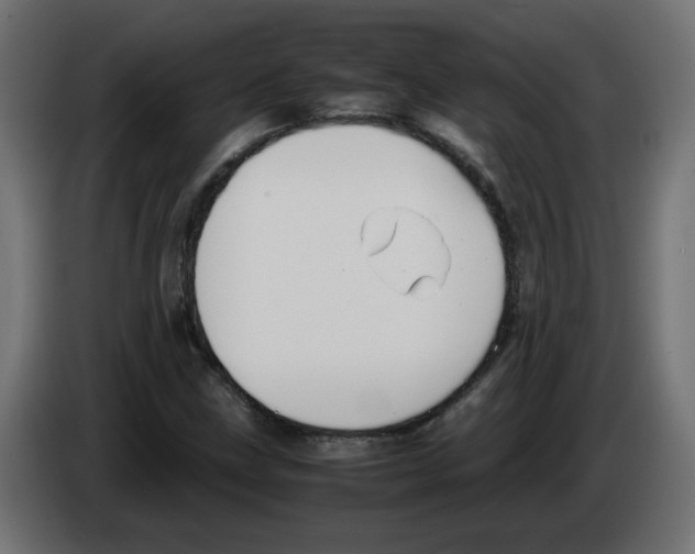 X0000083011211200703021932