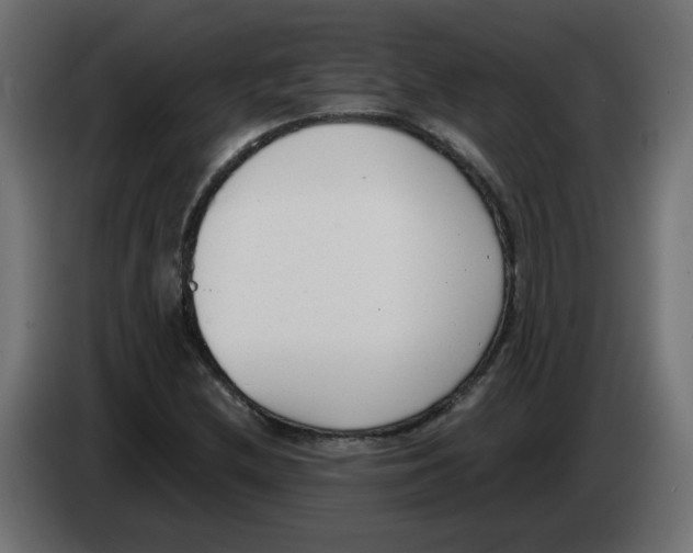 X0000083011212200703021932