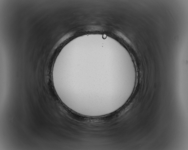 X0000083011213200703021932