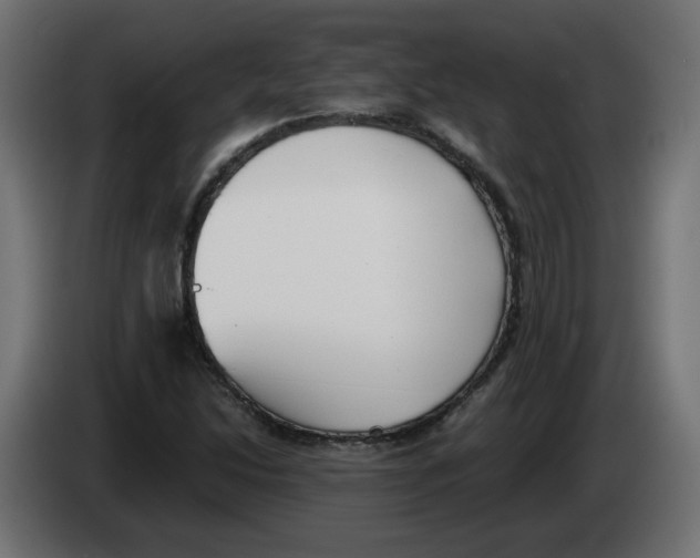 X0000083011214200703021932