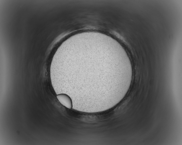 X0000083011215200703021932