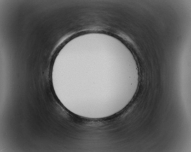 X0000083011216200703021932