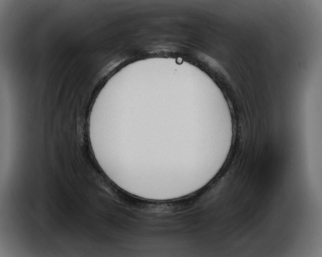 X0000083011217200703021932