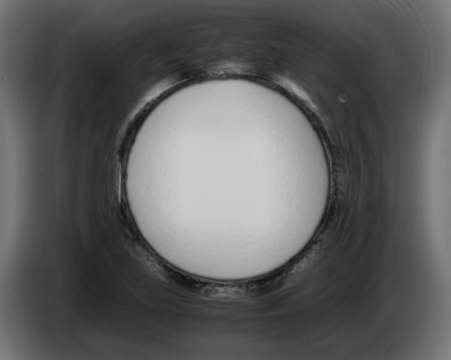 X0000083011219200703021932