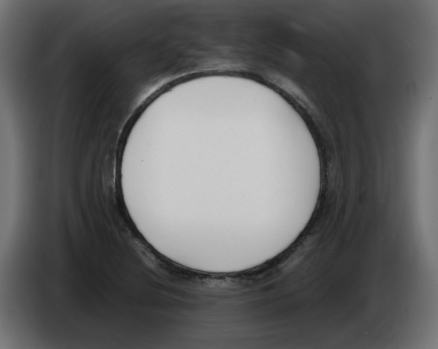 X0000083011220200703021932