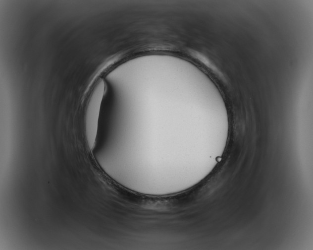 X0000083011221200703021932