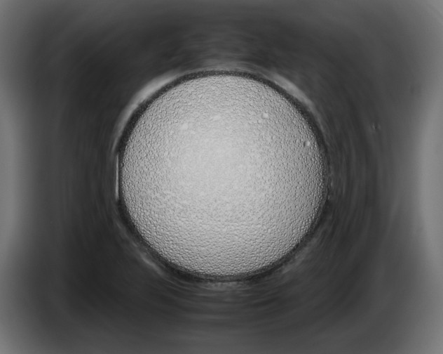 X0000083011223200703021932