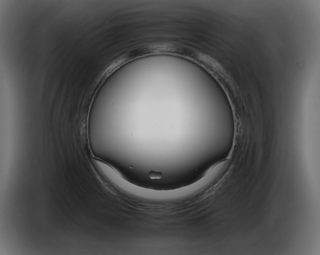 X0000083011225200703021932