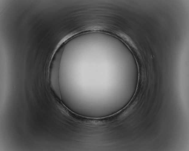 X0000083011226200703021932