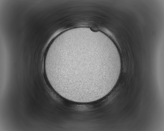 X0000083011227200703021932