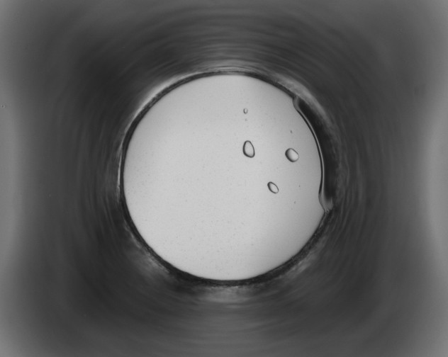 X0000083011228200703021932